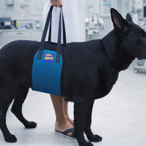 Faja Ortopédica para Mascotas